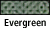 Evergreen