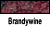 Brandywine