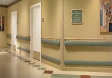 Inpro� Wall Guards Standard large image 1